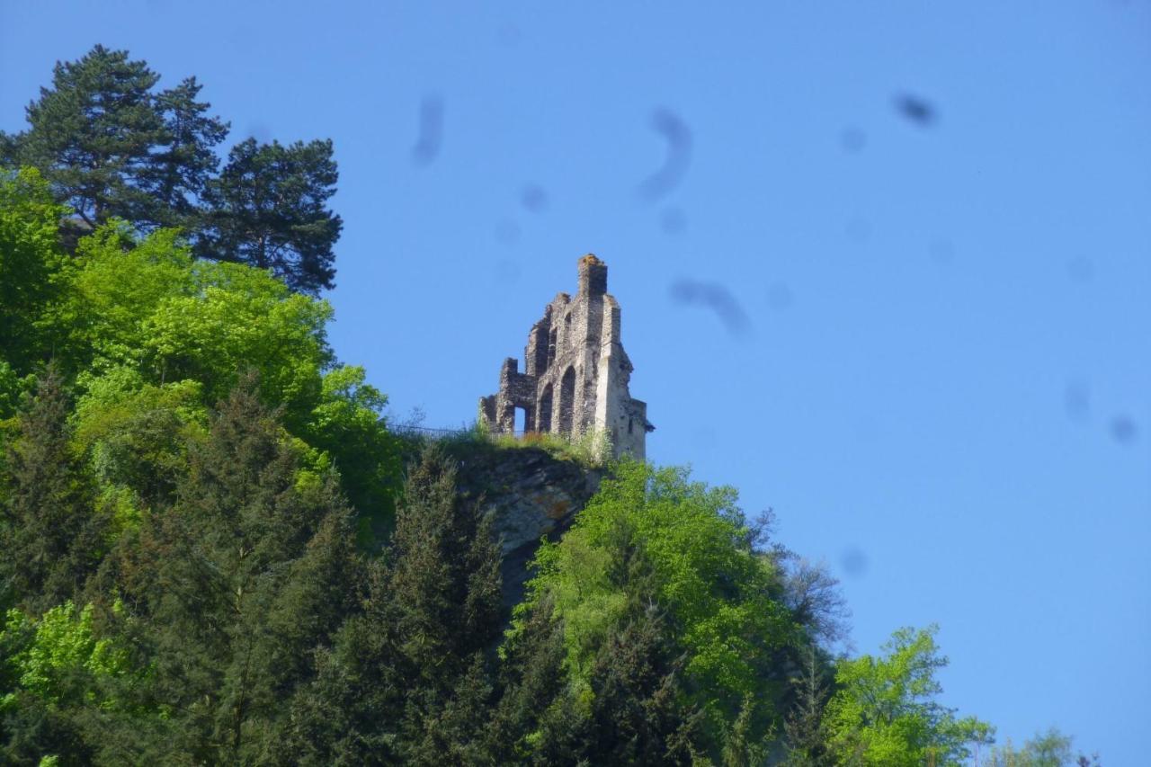 Apartmán Moselschiefer Neu Ab Mai 2023 Traben-Trarbach Exteriér fotografie