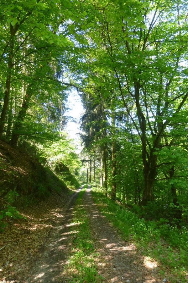 Apartmán Moselschiefer Neu Ab Mai 2023 Traben-Trarbach Exteriér fotografie